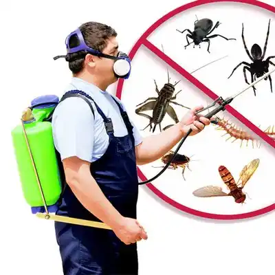 pest control Qulin